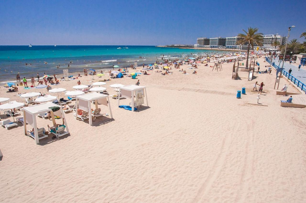 Large Apartment With Large And Sunny Terrace - Garden & Outdoor Gym , Alicante Center מראה חיצוני תמונה