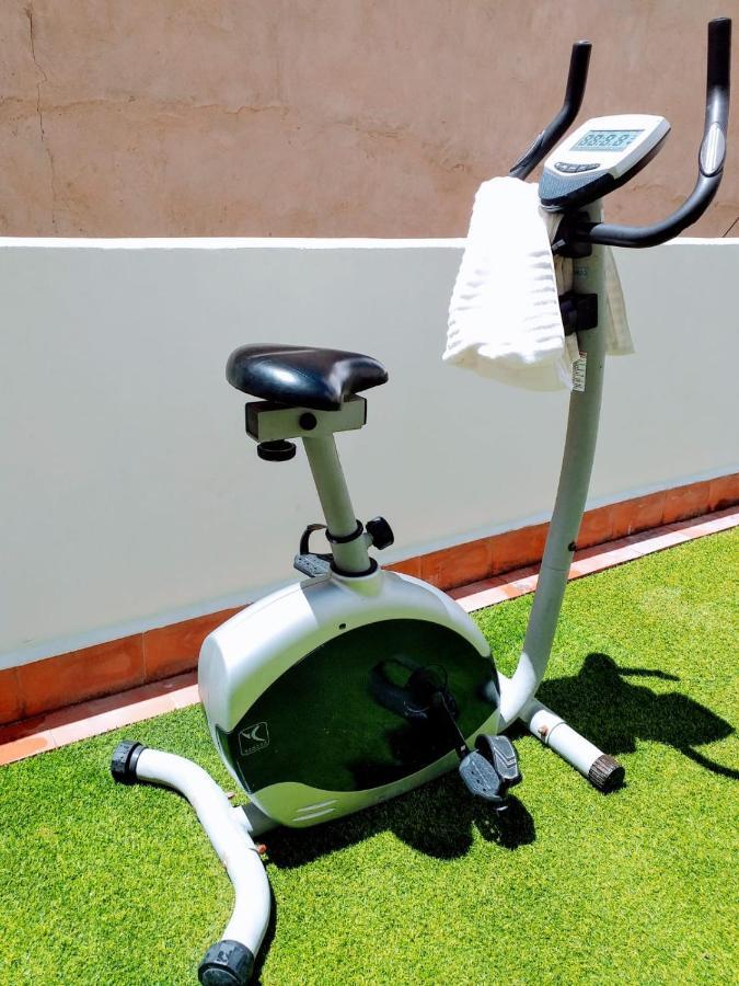 Large Apartment With Large And Sunny Terrace - Garden & Outdoor Gym , Alicante Center מראה חיצוני תמונה